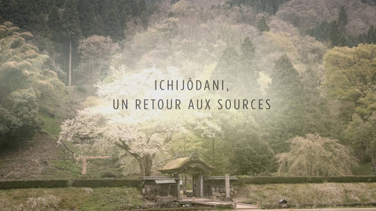008. Ichijôdani : un retour aux sources